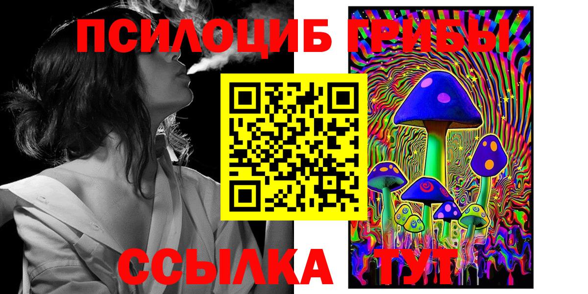 Кузнецк  Галлюциногенные грибы Psilocybine cubensis  Вход с VPN  закладки  Псилоцибиновые грибы Psilocybine cubensis 