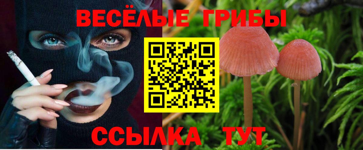 Псилоцибиновые грибы Cubensis Кузнецк